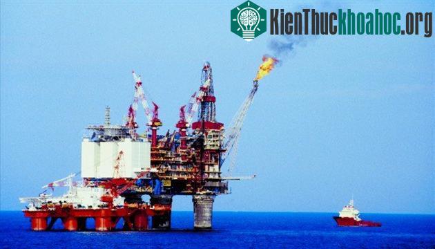 Các khu vực có giun biển pogonophore sinh sống chính là nơi có triển vọng để tìm kiếm dầu và khí đốt.