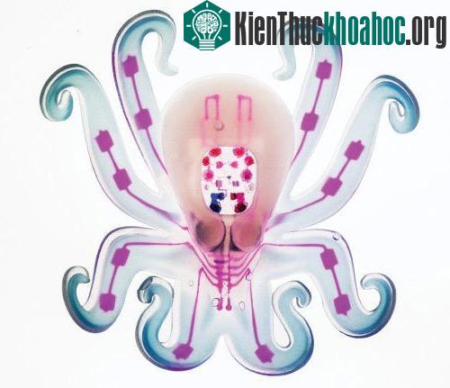 Octobot là robot hoạt động không cần pin.