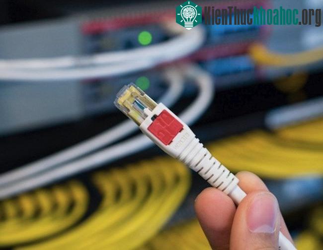 Công nghệ đầu cáp mạng mới cho phép gắn, rút mà không cần bấm khóa. (Ảnh: TheNextVOZ)