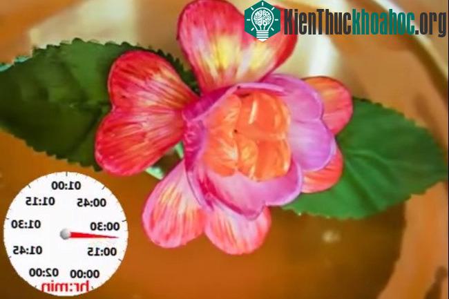 Vật liệu có khả năng tự biến hình theo lập trình có thể giúp tạo ra các thiết bị y tế cấy ghép có khả năng tự triển khai bên trong cơ thể với tốc độ tuỳ ý.
