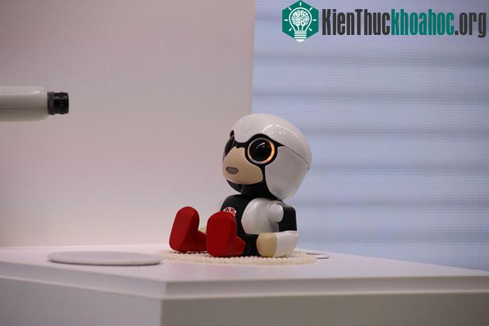Chú robot Kiboro Mini được hy vọng sẽ làm giảm xu hướng không muốn sinh con của phụ nữ Nhật Bản. (Ảnh: Reuters)