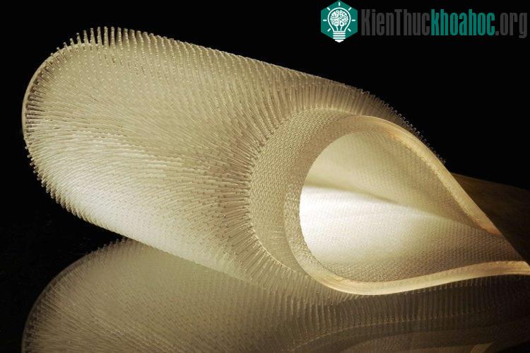 Một vật liệu đặc biệt được dùng để chế tạo bộ đồ lặn giữ ấm. (Ảnh: Qzprod).