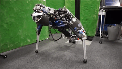 Robot Kengoro đang tập hít đất.