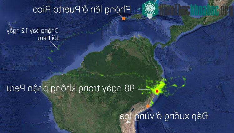 Lộ trình đường bay của khinh khí cầu.