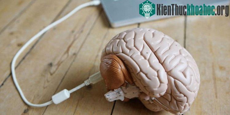Con người sẽ trở nên bất tử khi tải bộ não lên máy tính. (Ảnh: Express.co.uk).