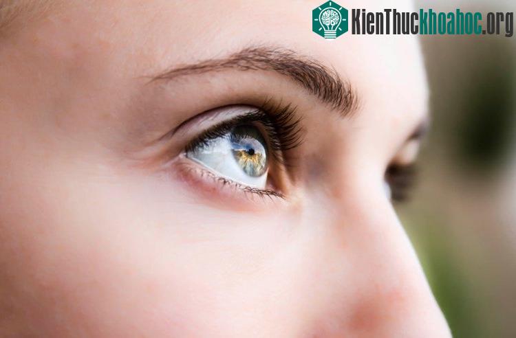 Lớp màng hydrogel có thể giúp người mù nhìn trở lại. (Ảnh: Wordpress).
