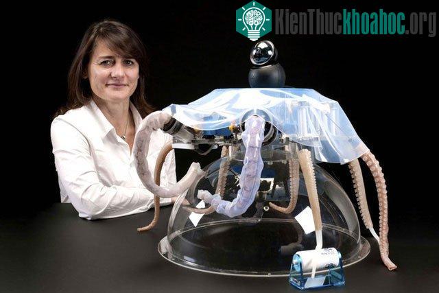 Robot bạch tuộc này có khả năng chuyển động linh hoạt trên địa hình gồ ghề.