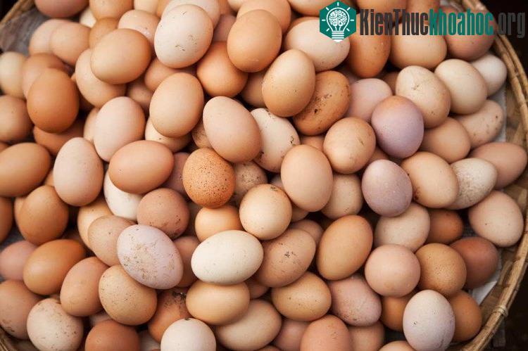 Phát minh này đang nhận được sự chào đón không chỉ từ các nhà sản xuất trứng.