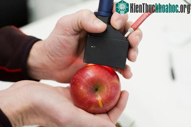 Bạn có thể biết chính xác lượng vitamin có trong quả táo của bạn.