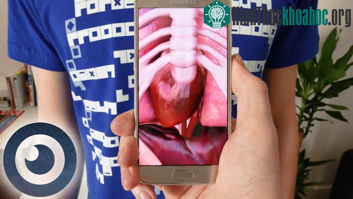 Áo được dùng kèm cùng một ứng dụng chuyên biệt cho smartphone.