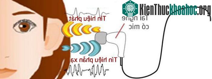 Hình dáng của lỗ tai mỗi người là duy nhất nên tiếng vang mà nó tạo ra cũng duy nhất.