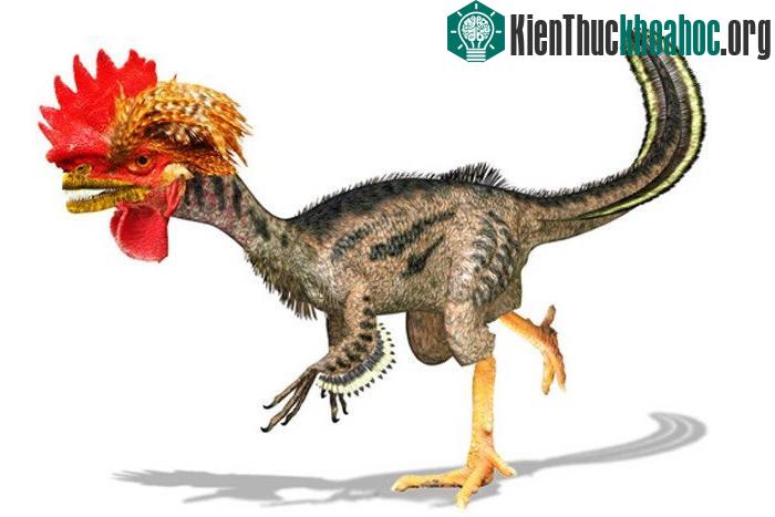 Khủng long ra đời từ gà biến đổi gene. (Ảnh: Live Science).