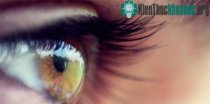 Thiết bị này sẽ không hoạt động đối với những người mù bẩm sinh.