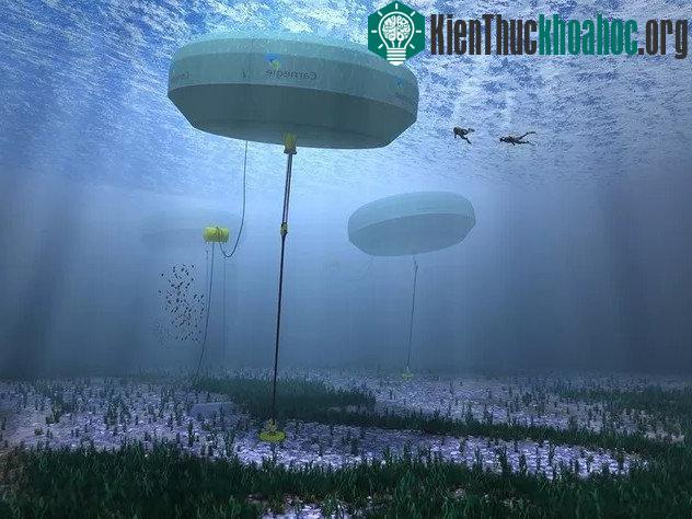 Chân dung hệ thống giúp khai thác điện từ sóng biển.
