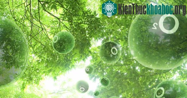 Vật liệu này có thể hấp thu được ánh sáng từ Mặt Trời, sau đó dùng nó để chuyển nước thành oxy và hydro.