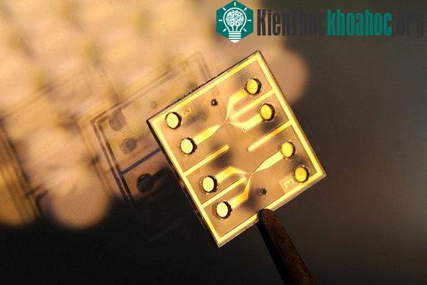 Cảm biến này có thể phát hiện ô nhiễm trong nước ngay tức khắc.