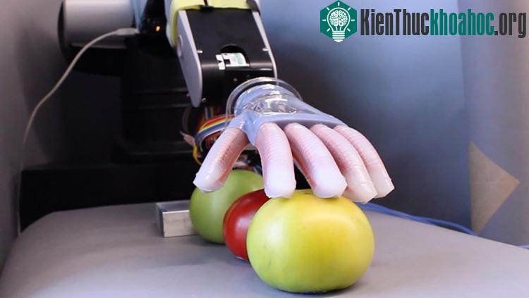 Gentle Bot sử dụng một bong bóng có hình dáng giống bàn tay con người được tích hợp sẵn những ống dẫn sóng.