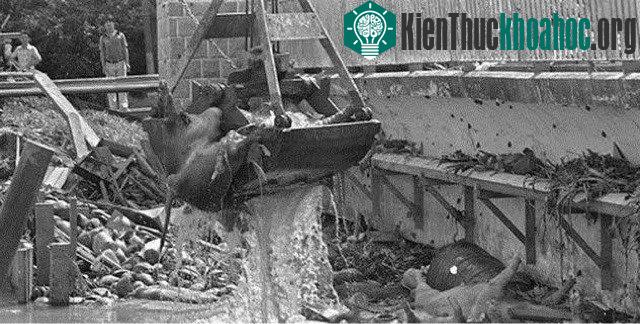 Hai nguồn nước tự nhiên của đảo quốc này là nước mưa và 250 triệu lít nước mỗi ngày từ sông Johor của Malaysia.