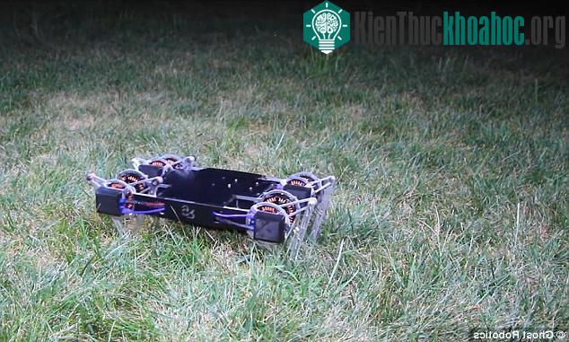Ghost Minitaur được thiết kế để mô phỏng những động vật có khả năng chạy vượt chướng ngại vật.