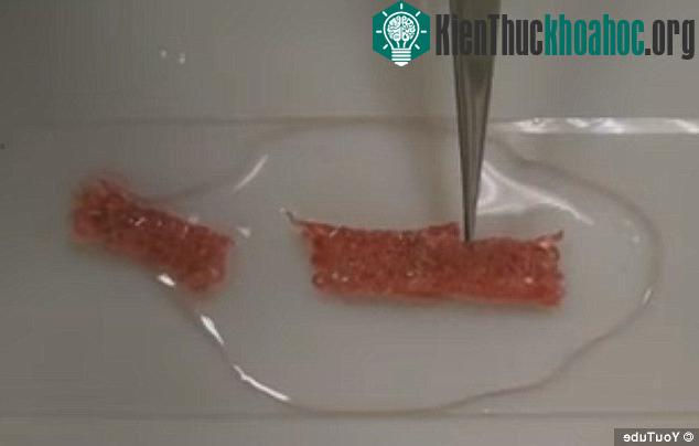 Chỉ vài giây thôi... những miếng vải rời nhau sẽ...