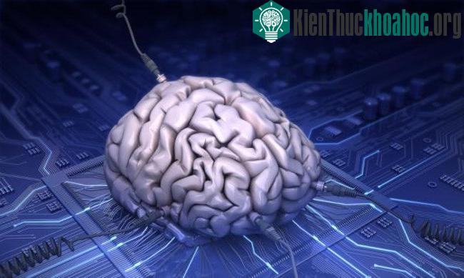 Chúng ta có thể tích hợp máy tính sinh học vào các khối u ung thư để theo dõi hoạt động của chúng.