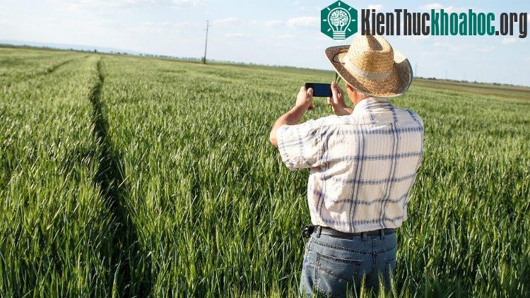 Người nông dân có thể quản lý từ xa cũng như chăm sóc được một diện tích lớn cây trồng.