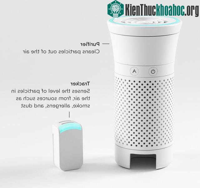 Wynd có cấu tạo khá đơn giản