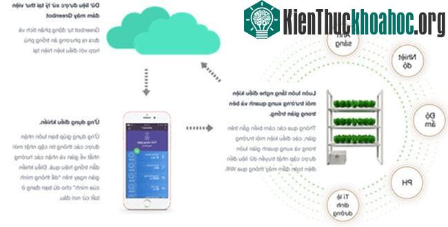 Nguyên lý hoạt động của robot trồng rau.