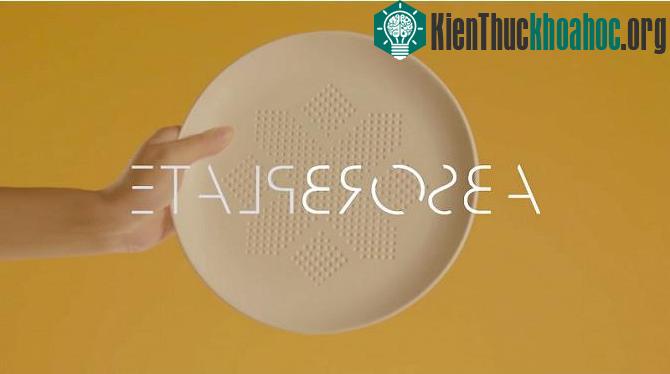 AbsorbPlate - Đĩa ăn thấm hút dầu.
