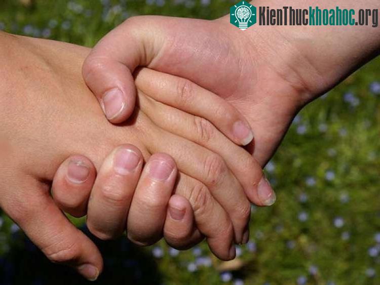 Siêu cảm biến giúp nhận biết rõ ràng về thế giới xung quanh.