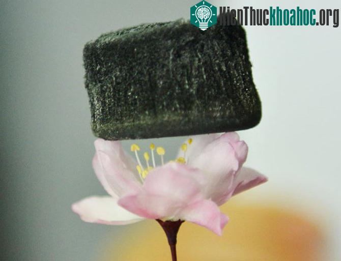 Một khối graphene aerogel có thể lơ lửng trên đám cỏ hay ngay cả trên đầu những bông hoa.
