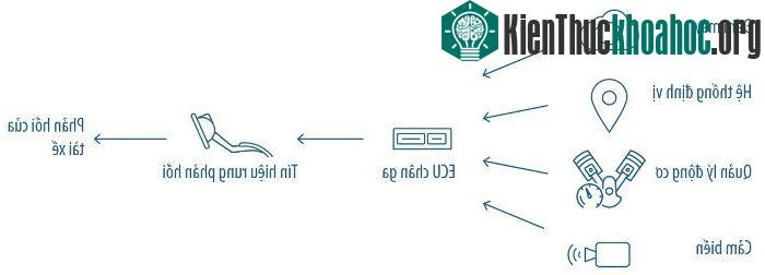 Chân ga thông minh có thể rung phản hồi theo nhiều kiểu khác nhau.