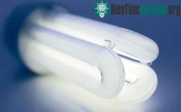 Cho đến khi chúng được thay thế bởi bóng đèn huỳnh quang.
