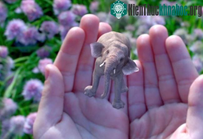 Tìm hiểu về Magic Leap: Khi hình ảnh 3D ảo được chiếu thẳng vào mắt ảnh 1