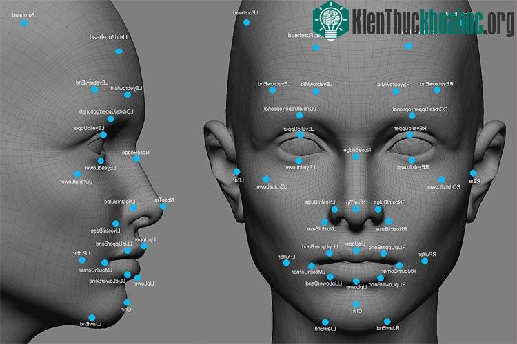 Hệ thống không có nhiều thời gian để "câu giờ" mà phải hành động ngay