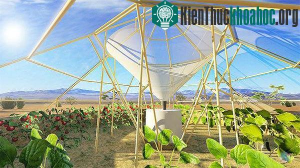Nhà sẽ được đóng lại vào ban ngày để hạn chế mất hơi nước, giữ không khí nóng ẩm bên trong.