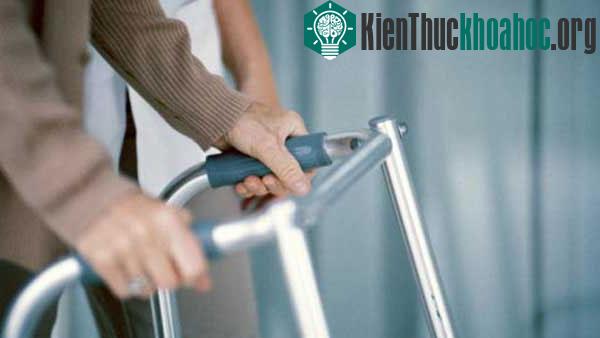 Nhóm đối tượng khách hàng chính là người già và người tàn tật.