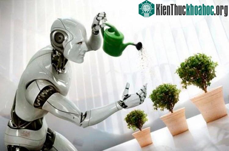 Năm 2019, các cơ quan chính phủ bắt đầu thực hiện các quy định cụ thể về robot nhằm bảo vệ các mối quan tâm về an ninh và trật tự xã hội.