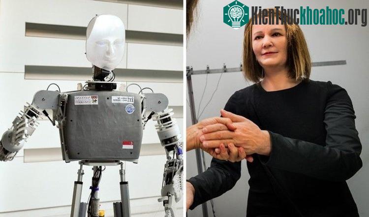 Những robot này như những người thầy cô giáo, cũng như những vú nuôi cho các em.