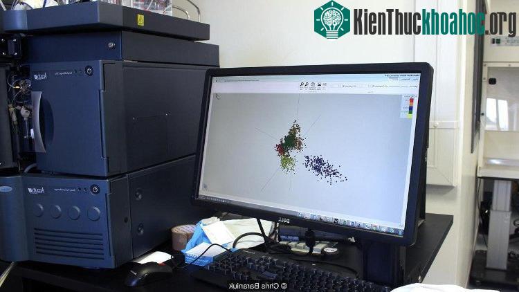 Bằng cách sử dụng kết quả phân tích khói, nhóm nghiên cứu có thể phân biệt các loài cá. (Ảnh: Chris Baraniuk).
