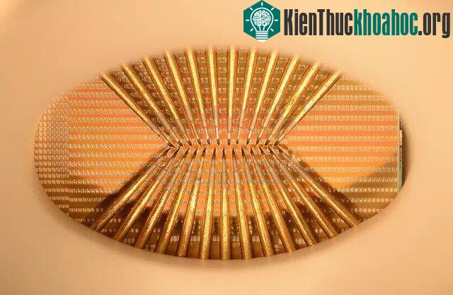 Một mẫu thử của con chip sẽ được sử dụng để gắn vào bảng mạch, mỗi một hình vuông nhỏ là một neuron nhân tạo.