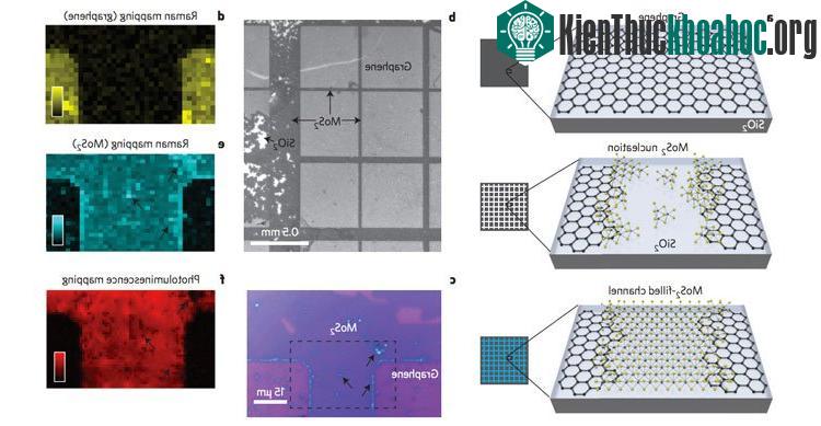 Raman Mapping: biểu đồ quang phổ Raman và Photoluminescence mapping: biểu đồ huỳnh quang.
