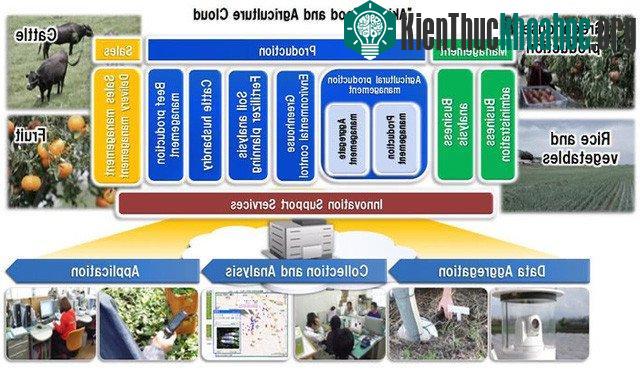 Công nghệ nông nghiệp thông minh, kết hợp nông nghiệp với điện toán đám mây.