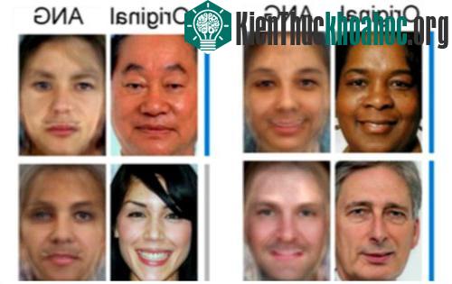 Ảnh: The Journal of Neuroscience