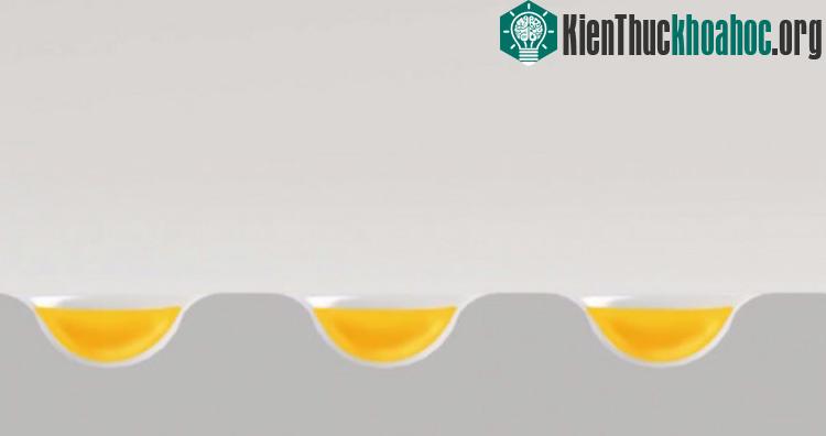 AbsorbPlate có tới 500 lỗ nhỏ và mỗi lỗ như vậy có thể chứa khoảng 0,014ml dầu mỡ.