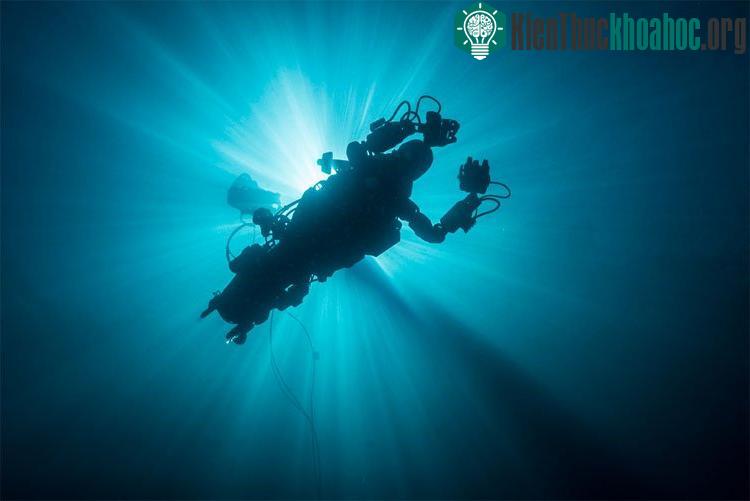 Thành công của OceanOne cho thấy nó có thể thay thế con người.