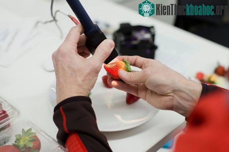 Các nhà nghiên cứu hy vọng sản phẩm này sẽ sớm được tung ra thị trường với giá thành phải chăng cho người tiêu dùng.