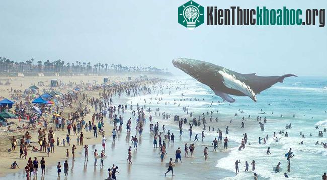 Tìm hiểu về Magic Leap: Khi hình ảnh 3D ảo được chiếu thẳng vào mắt ảnh 2