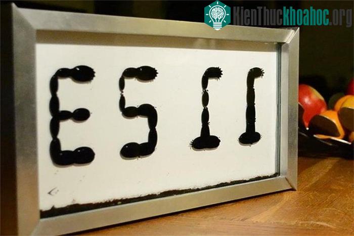 Đồng hồ với mặt số được hình thành từ những giọt nước biết đi.