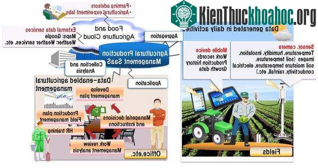 Nhờ công nghệ điện toán đám mây mà người nông dân có thể sử dụng các cảm biến trên thực địa để phân tích và cho ra những quyết định tối ưu nhất.